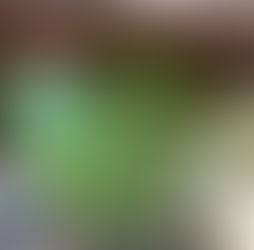 Besøg på Naturplanteskolen - TendensKLOG N.3