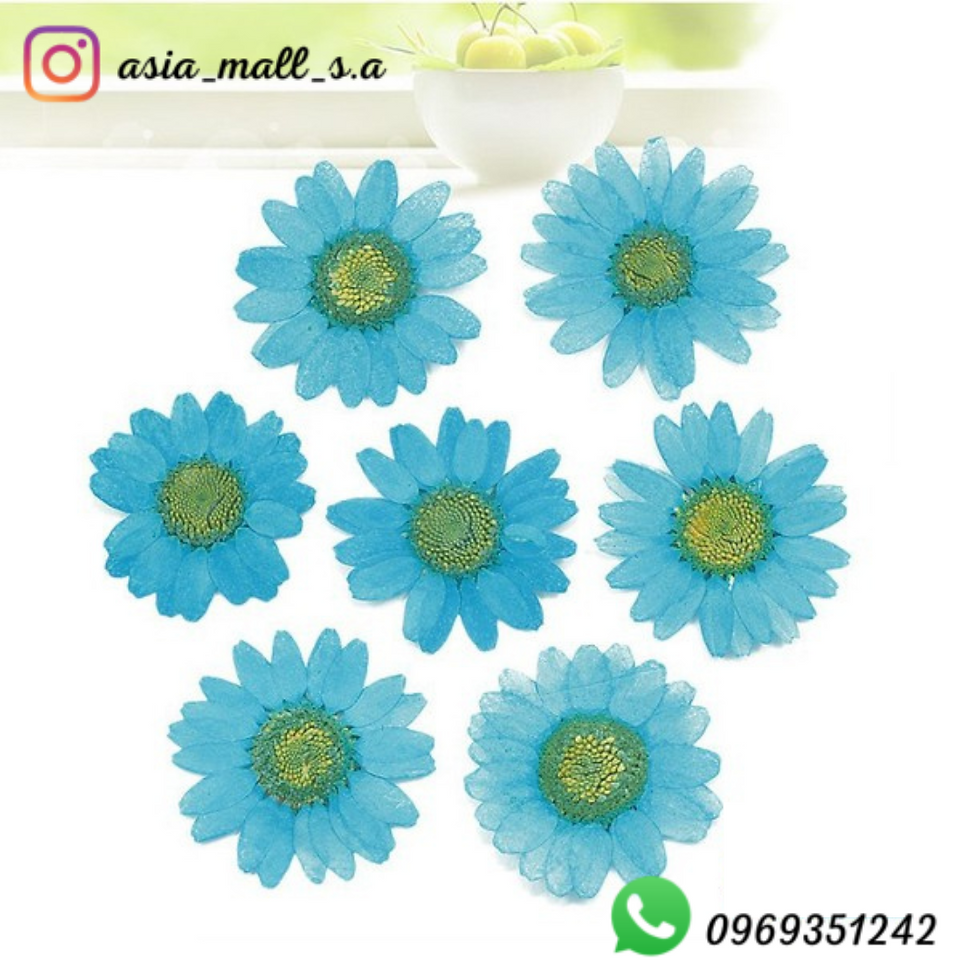 Miniatura: Flores secas funda x10