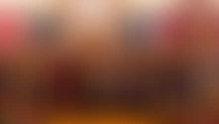 RC North-American Convention