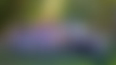 Family, Faith and Fun