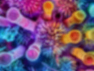 Testosteron (O41)