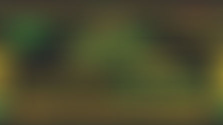 Folkfield Festival 2024