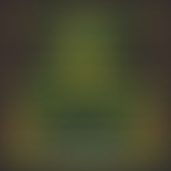 Folkfield Festival 2024 - der Festivalbericht (Tag 2)