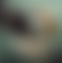 Cinematic Metal Force EDGE OF PARADISE kehren mit neuem Studioalbum "Prophecy" zurück!