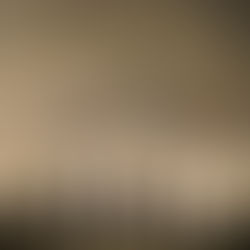 Rauhbein (Support: Haggefugg)