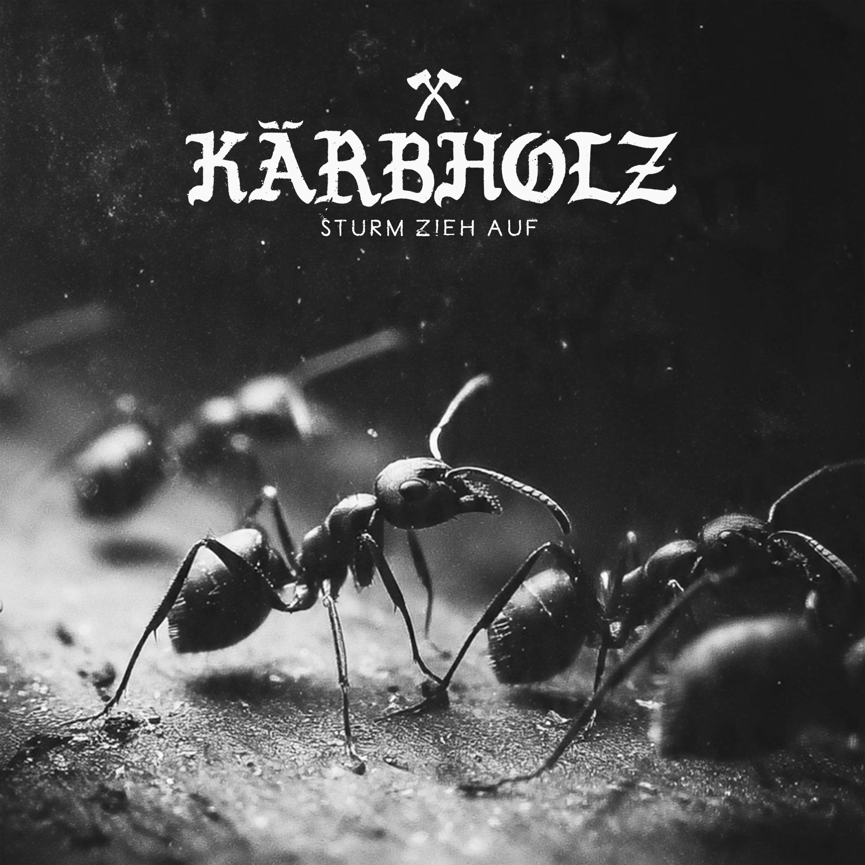 Kärbholz kündigen neues Studioalbum „Sturm zieh auf“ an