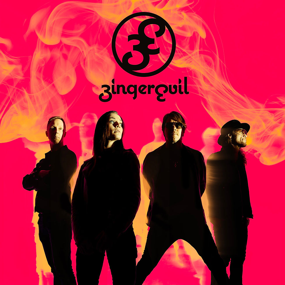 Albumcover The Way It Burns