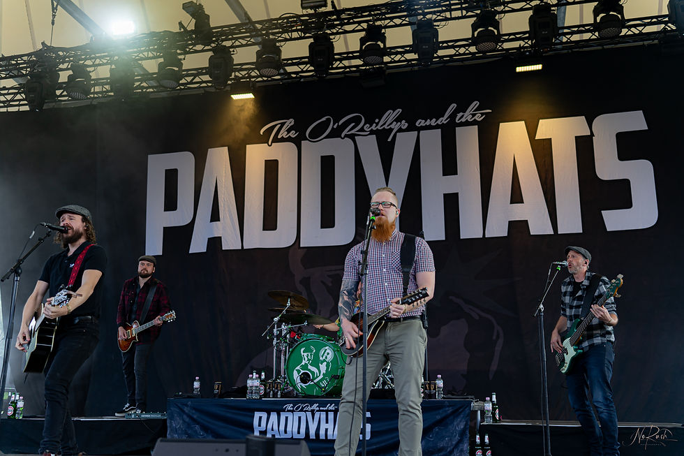 Paddy 7