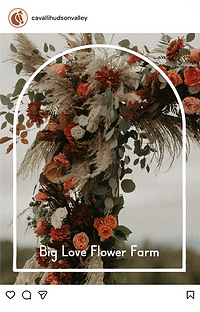 Cavalli social media template