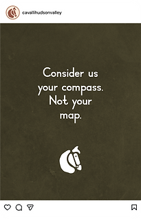 Cavalli social media template