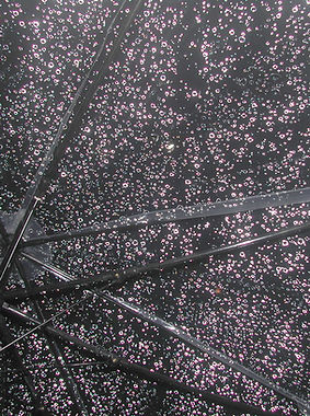 Tokyo Photography