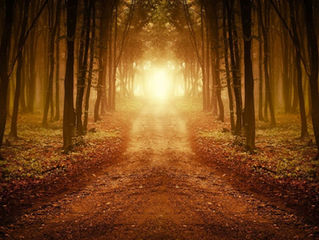 The old Path on a new Way