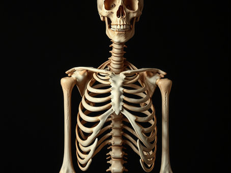 The Bone Health Paradox - Why Alkaline Diets Weaken Your Skeleton