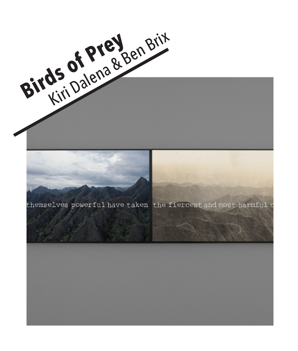 Project Spaces Carousel_05 Birds of Prey.png