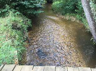 Creek at Mattawoman.jpg