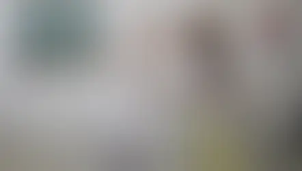 The Chalk Revolution: The Failure of Liberal Protest Against Proto-Authoritarian Regimes in the post-Cold War era