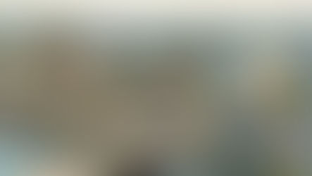 The Informal Rules Westminster