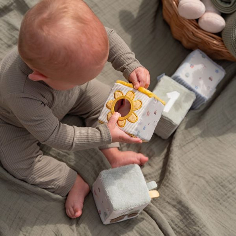 תמונה ממוזערת: Set of Soft Cubes | Little Farm