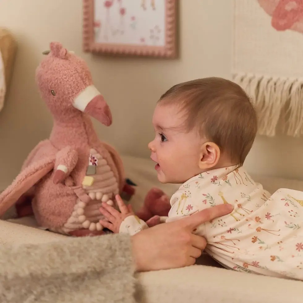 תמונה ממוזערת: Activity Toy Flamingo