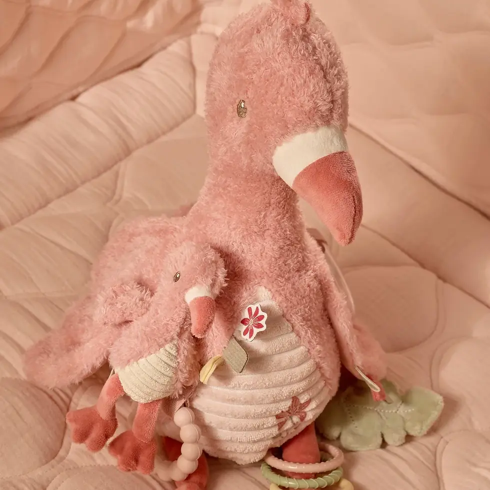 תמונה ממוזערת: Activity Toy Flamingo