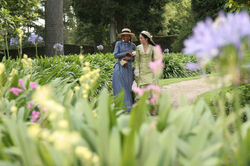 Jardines casa protagonista