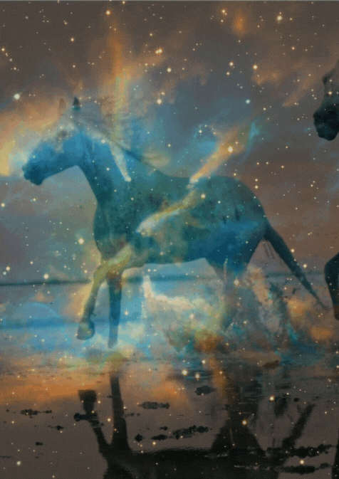 Untitled design (6).gif
