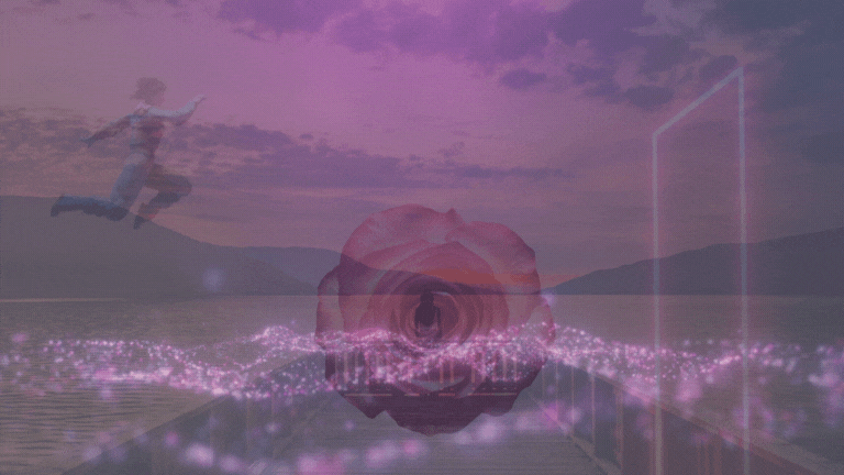 NUEVO SITIO WEB (3).gif
