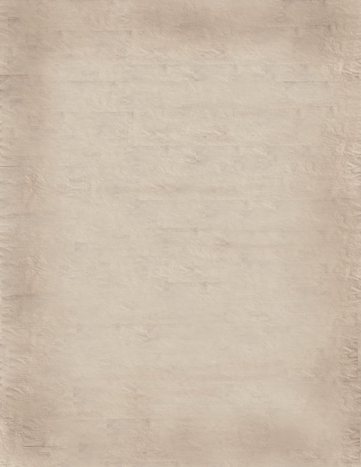 lighter BG.jpg