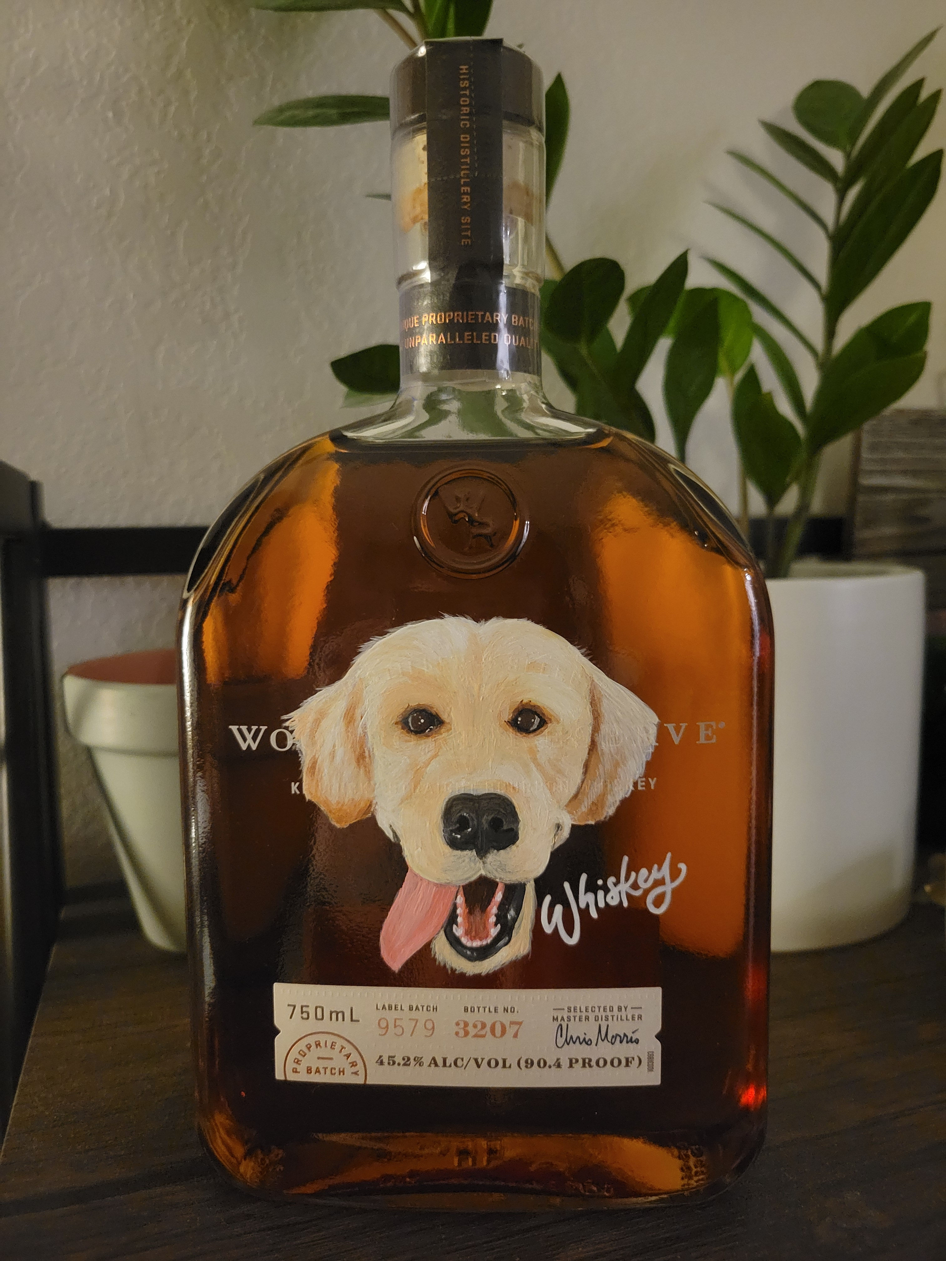 pet portrait - bottle painting