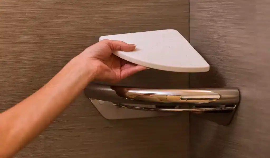 Corner Shelf And Grab Bar