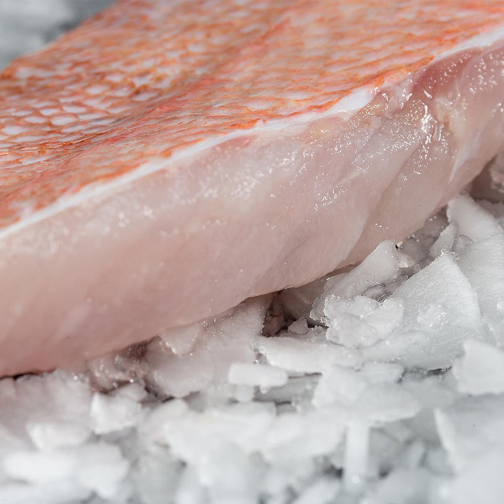 Ocean Perch fillet on ice