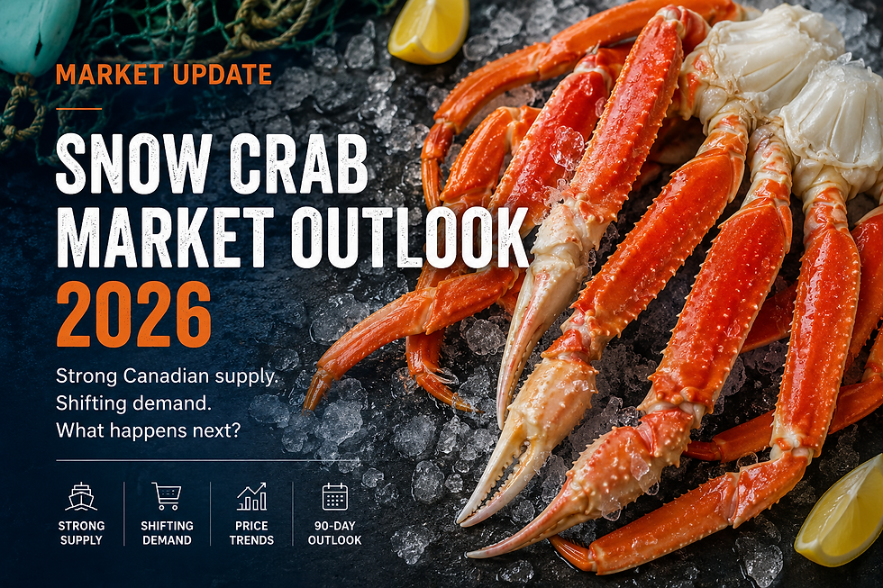 Snow Crab Market Update: Strong Supply, Shifting Demand, and What Buyers Need to Know