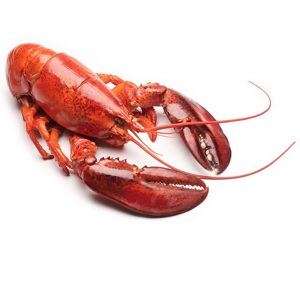 Cooked lobster
