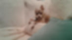 Sancho