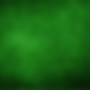 Copy of FH51 Club Flyer Canva (2).png