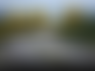 More than 40 drivers in Northern Ireland have over 12 penalty points