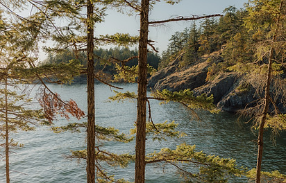 Emily & Andrew Engagement_ Jen + Brian Photo & Film_ 073.jpg