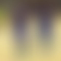 LA DINASTÍA SUB17 ARRANCA CON VICTORIA EN LA LIGA DEL VALLE