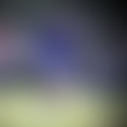 LA DINASTÍA 2007-2008 AVANZA A LA SIGUIENTE RONDA DEL TORNEO CAZATALENTOS