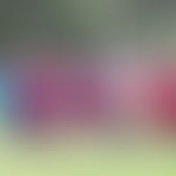 LA DINASTÍA SE PREPARA PARA UNA NUEVA TEMPORADA DE ÉXITO