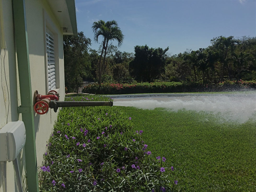 optimum fire protection bahamas