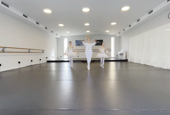 Art-of-Dance-Studio.gif
