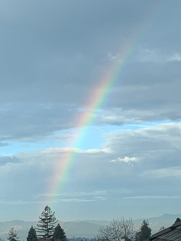 Rainbow_IMG_3710.jpg
