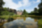 _DSC3172.jpeg