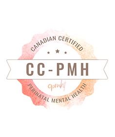 CC-PMH-CERTIFICATION, Certified, 