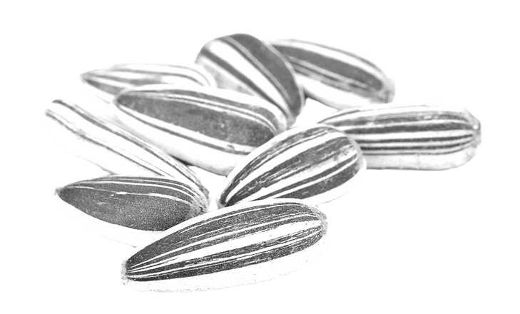 sunflower-seeds-isolated-on-white-backgr