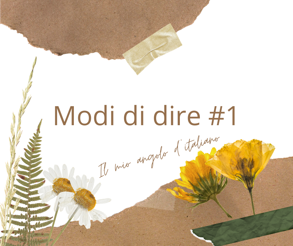L Asilo Citato Sempre In Un Modo Di Dire