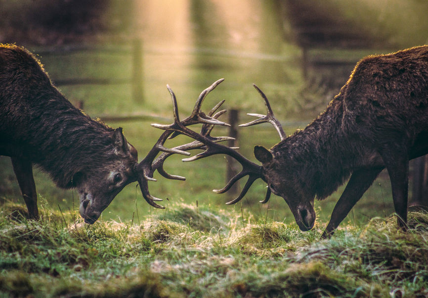 Travel and Landscape Photography 20.jpg