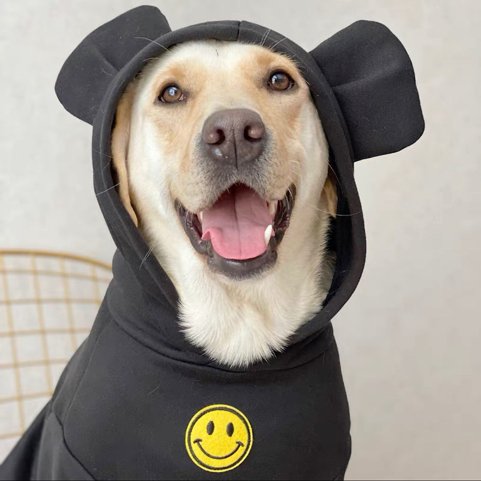 Thumbnail: Happy Face Hoodie