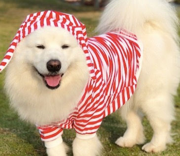 Thumbnail: Fanny Pack T shirt